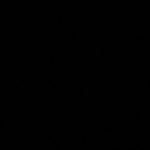 Meet your Posher, Steph